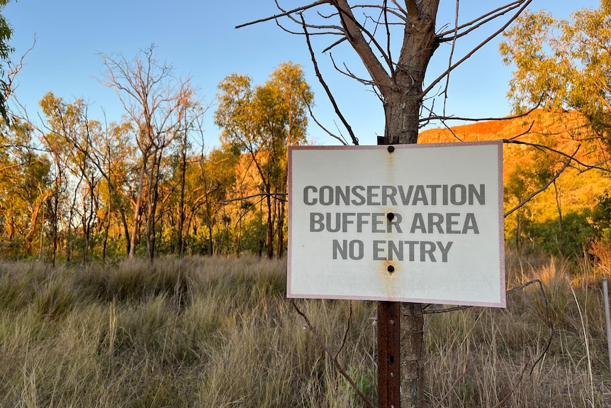 A sign on a tree reads "conservation buffer area no entry" with bush in the background.