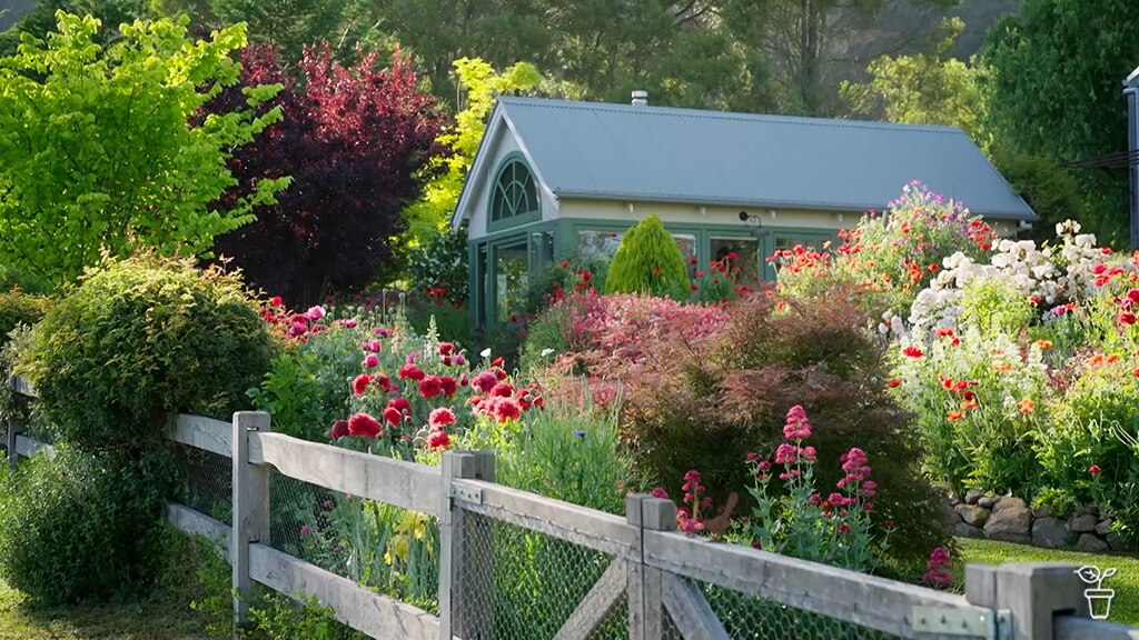A cottage-style garden filled with flowering plants.