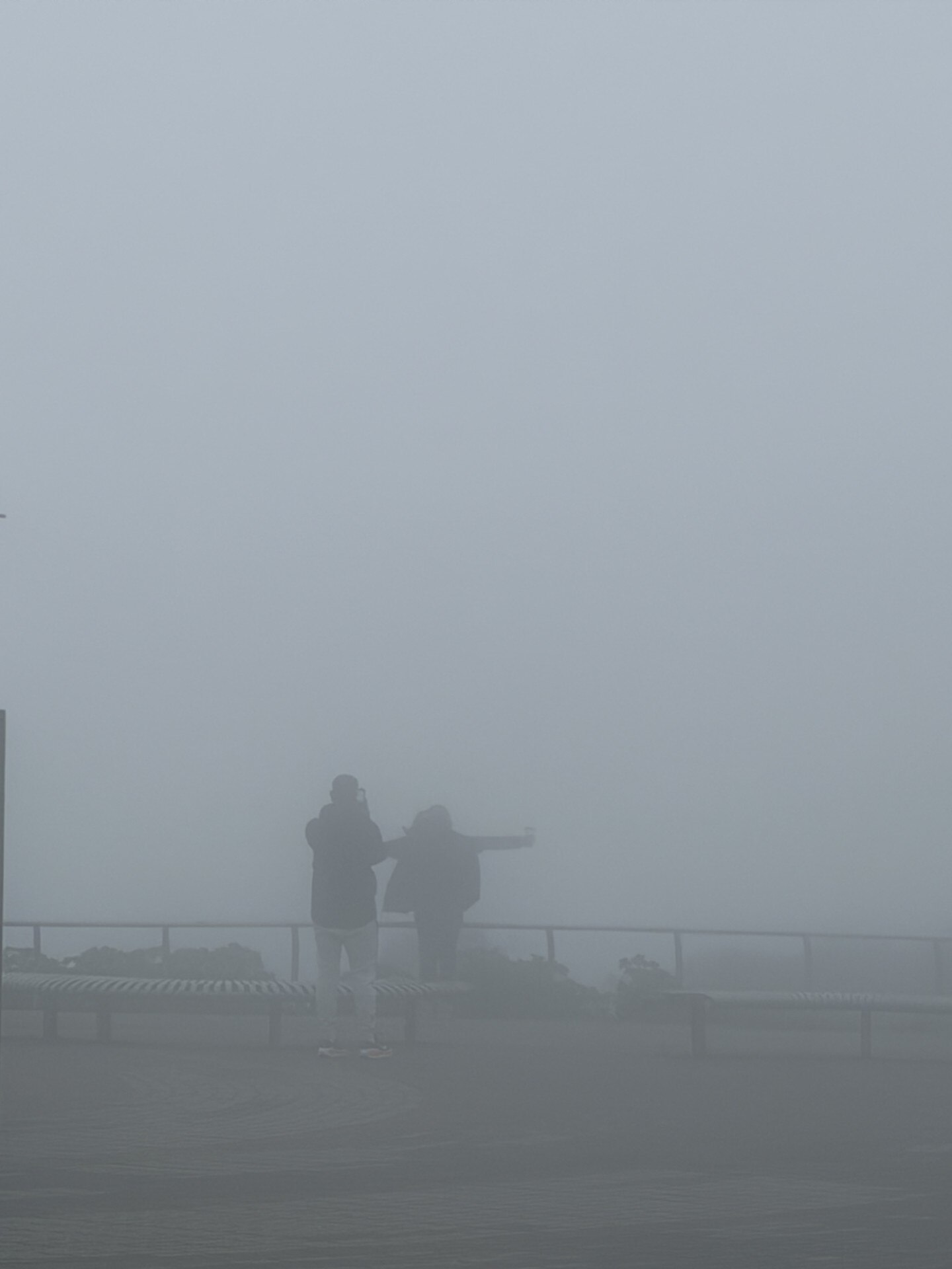 Adelaide white out! Heavy fog slows traffic & disappears cityscape