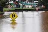 A submerged pedestrian crossing sign in Lismore during floods