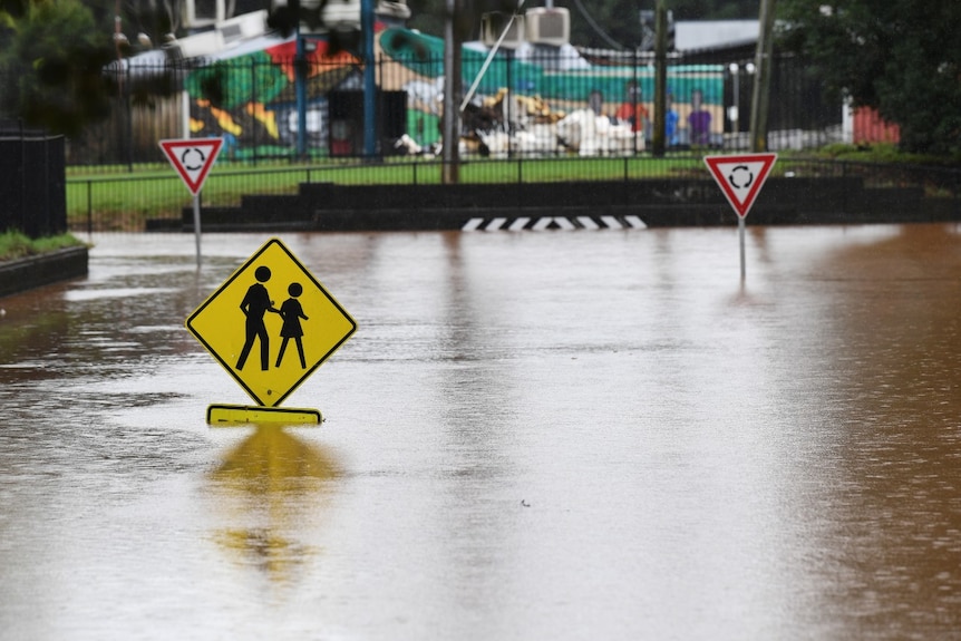 A submerged pedestrian crossing sign in Lismore during floods