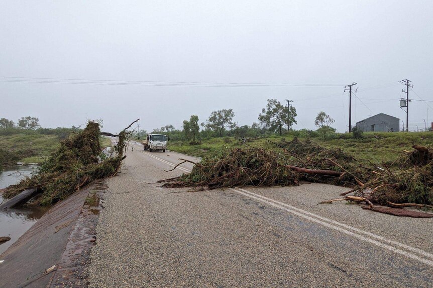 Several large trees fallen over on a remote highway, as a car approaches.