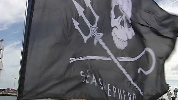 Sea Shepherd flag