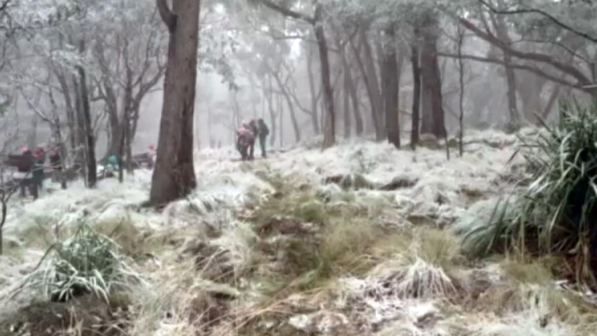 Light snow covers the ground at Tenterfield