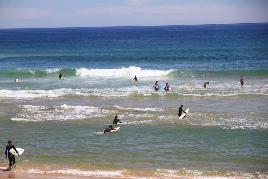 Surfers and swimmers in the water at a beach on Victoria's Mornington Peninsula.