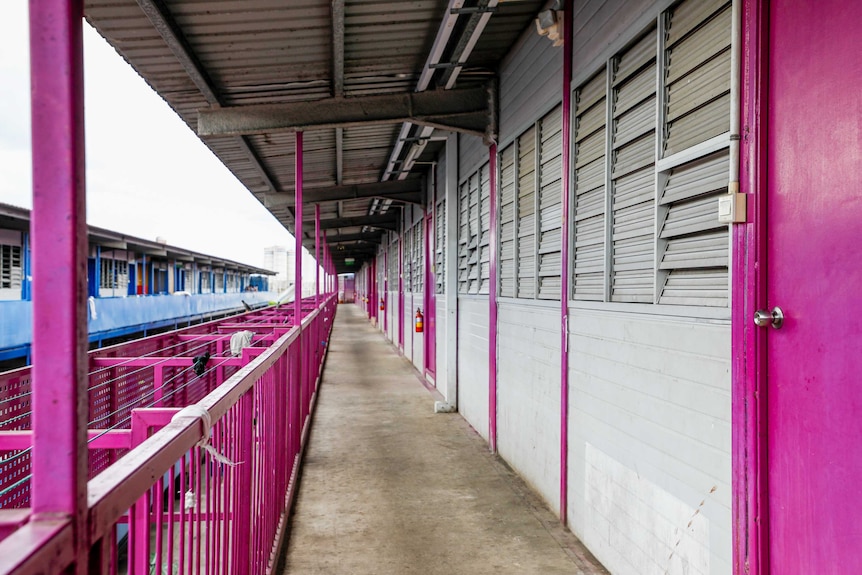 An empty balcony with bright pink railings