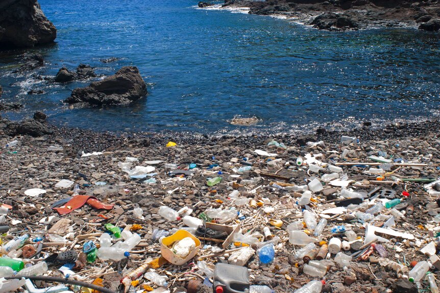 A mass of garbage in the ocean