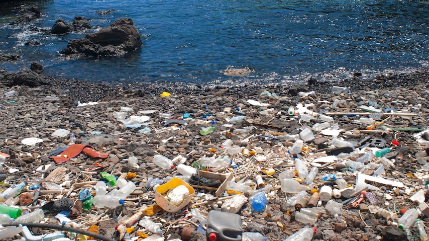 A mass of garbage in the ocean