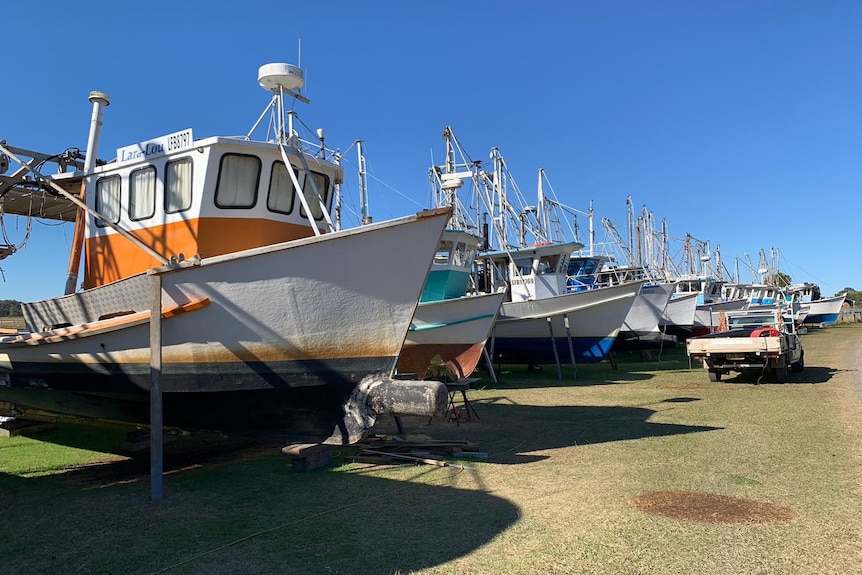 A row of prawn trawlers sit idle in dry dock