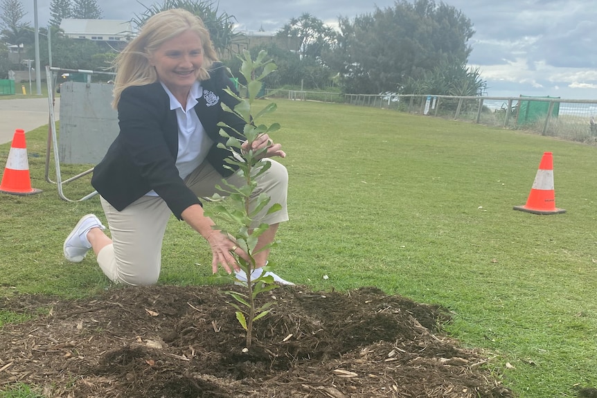Councillor Pauline Young plants tree at Miami after 40 were vandalized