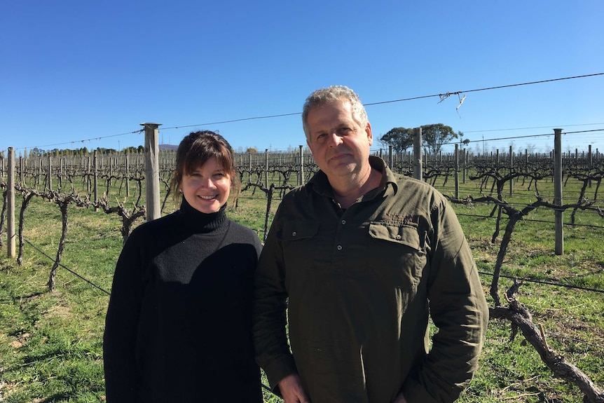 A man and woman stand in front of grapevines.