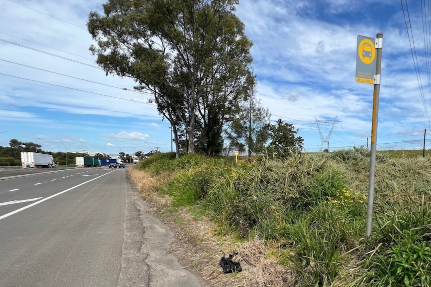 A pole with a bus symbol on it standing on the side of a wide road amid long grass