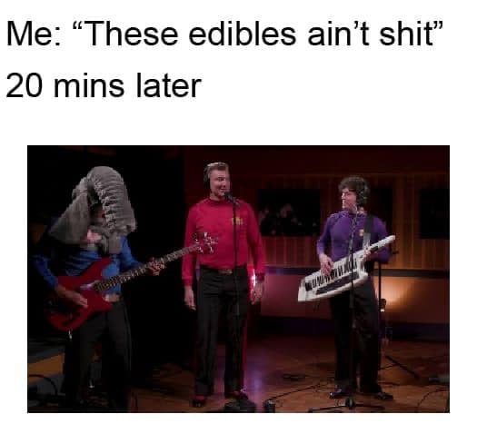 Text reading:'Me: "These edibles ain't shit" 20 mins later... and a screenshot of The Wiggles Like A Version performance
