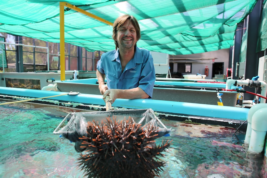 Dr Sven Uthicke holds up a netting containing a crown-of-thorns starfish.