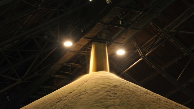 Raw sugar inside a storage terminal