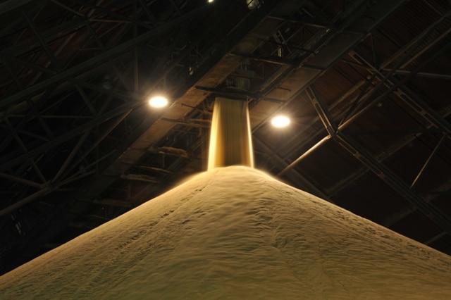 A pile of sugar stored at one of Queensland Sugar Limited's bulk terminals