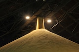 Raw sugar in a QSL bulk terminal