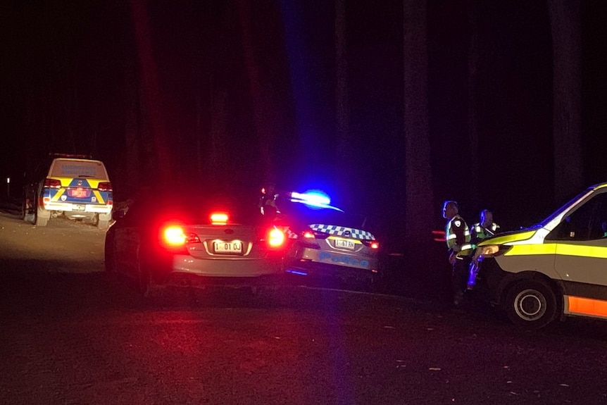 Police cars and an ambulance on the side of a country road at night