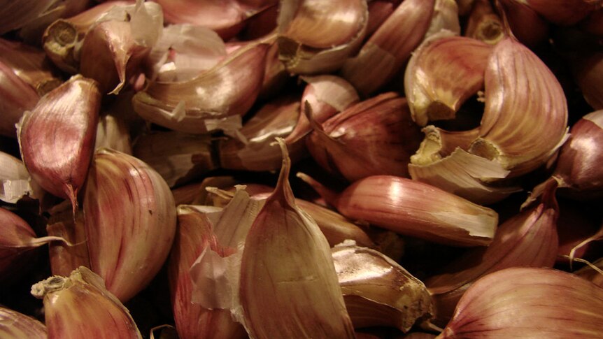 A large bowl of garlic cloves