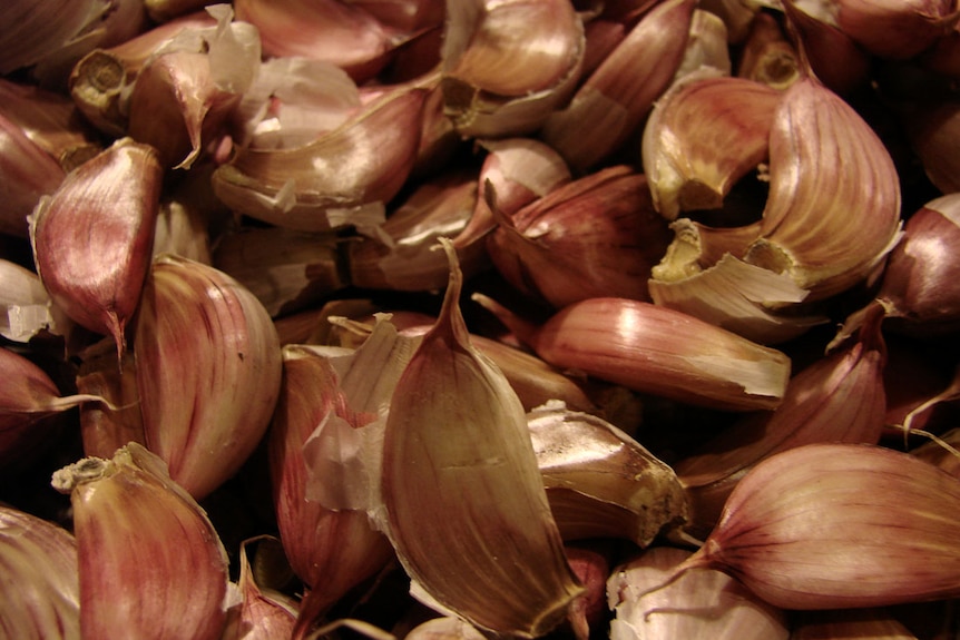 A large bowl of garlic cloves