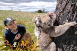 A female researcher holds a blanket behind a koala with joey.