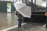 A woman hides under an umbrella in heavy rain.