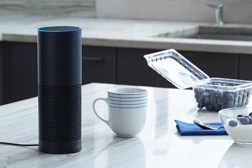 A small cylindrical black speak-like object sits on a kitchen counter top.