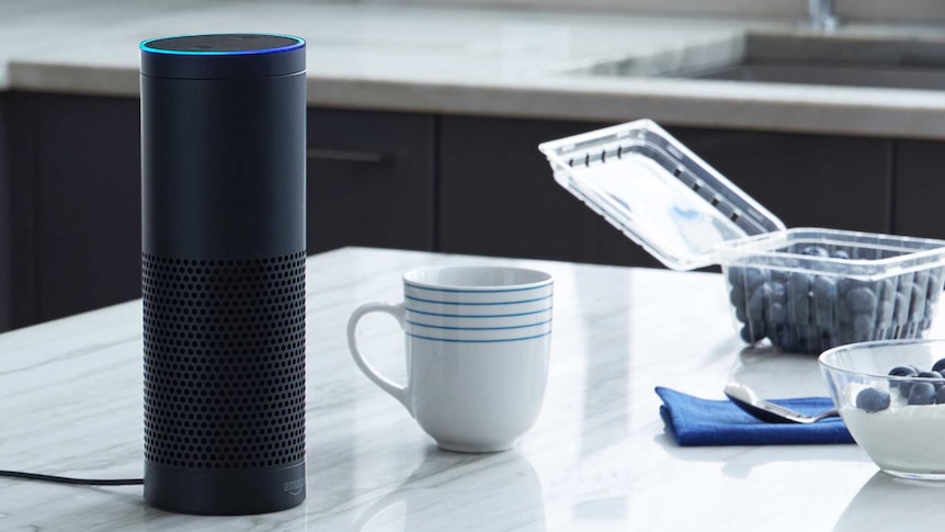 A small cylindrical black speak-like object sits on a kitchen counter top.