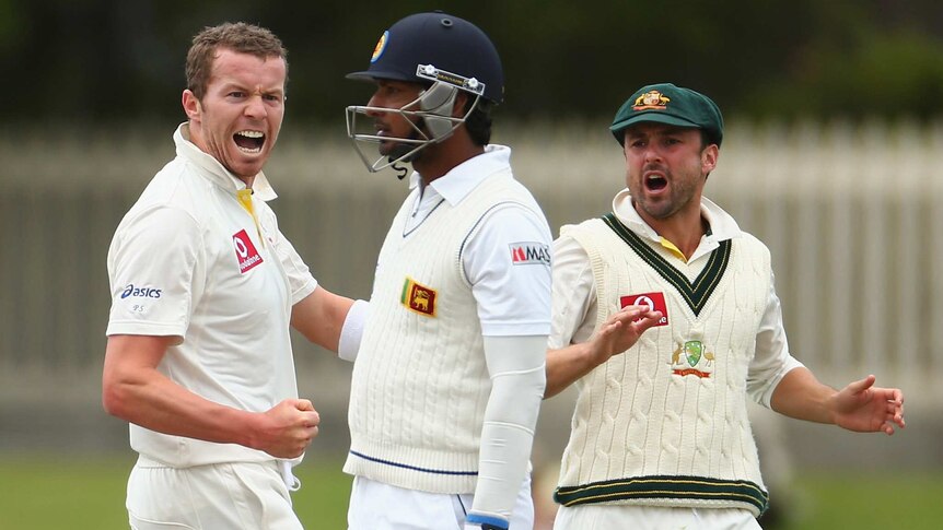 Vital wicket ... Peter Siddle celebrates Kumar Sangakkara's wicket.