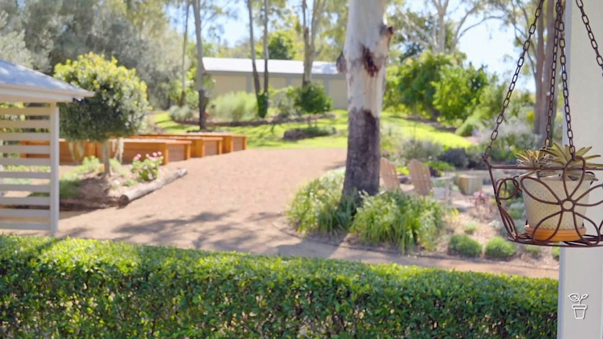 The landscaped front garden of a house with hedges and gravel paths.