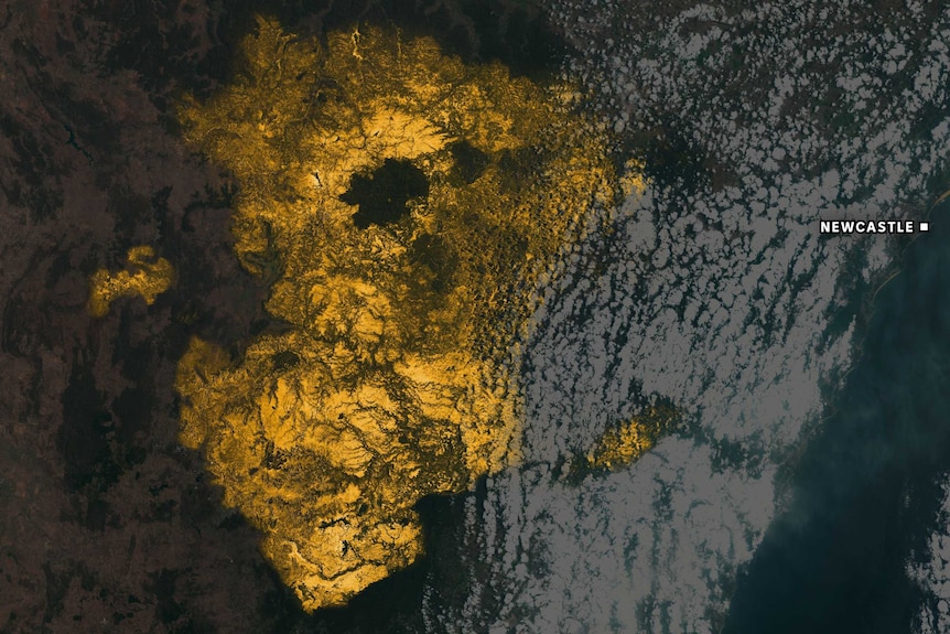 Satellite imagery showing fire scarring near Newcastle and Sydney