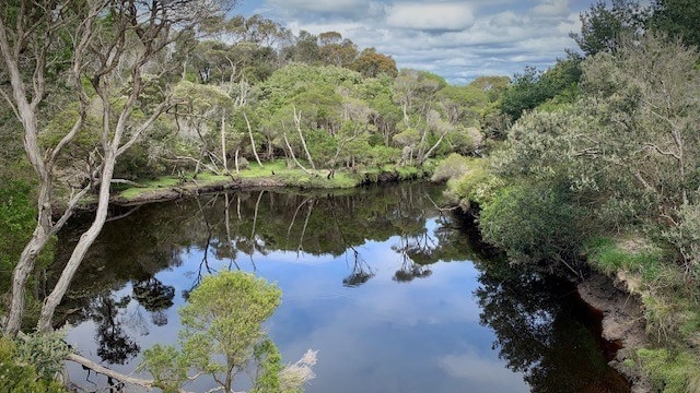 View of the Tomahawk River and surrounding bushland.