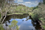 View of the Tomahawk River and surrounding bushland.