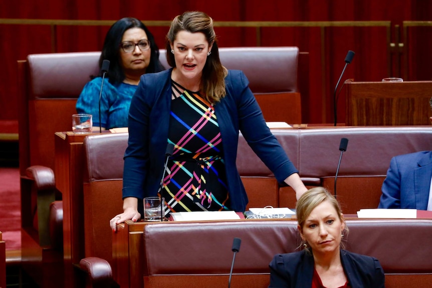 Sarah Hanson-Young stands at her desk in the Senate