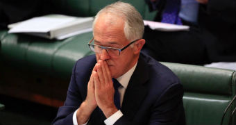 Malcolm Turnbull holds his hands to his lips and closes his eyes as if he were praying during question time.