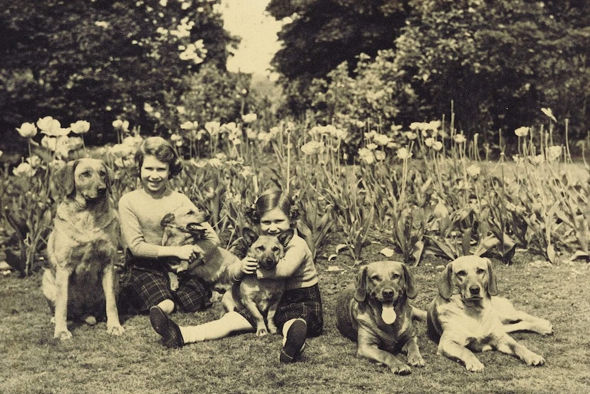 Princess Elizabeth and younger sister Margaret with two of their beloved corgis, date unknown.