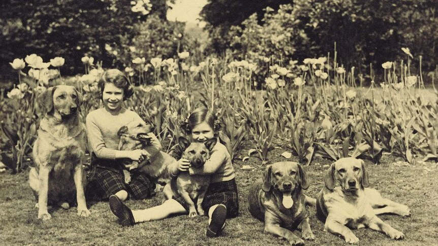 Princess Elizabeth and younger sister Margaret with two of their beloved corgis, date unknown.