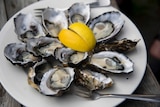 Oysters from Get Shucked on Bruny Island