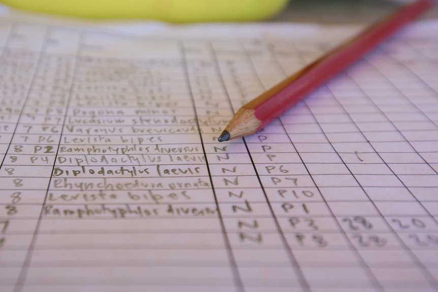 Close up of a pencil lying on a page of handwritten columns of data.