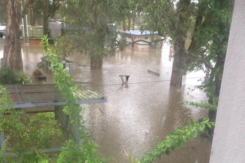 Floodwaters in the Brigadoon Caravan Park. 