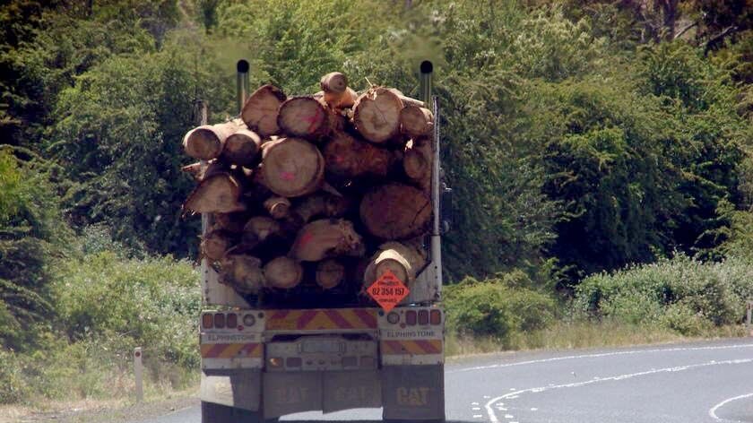 Log truck Tasmania
