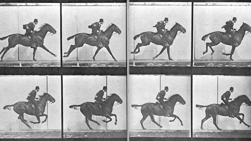 Galloping horse by Eadweard Muybridge