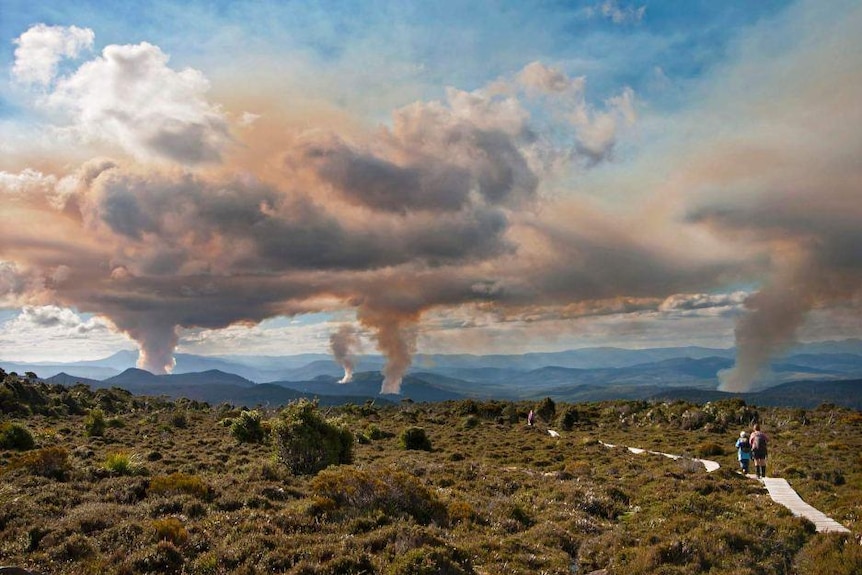Smoke rises over a wilderness landscape from forestry burn-offs in southern Tasmania.