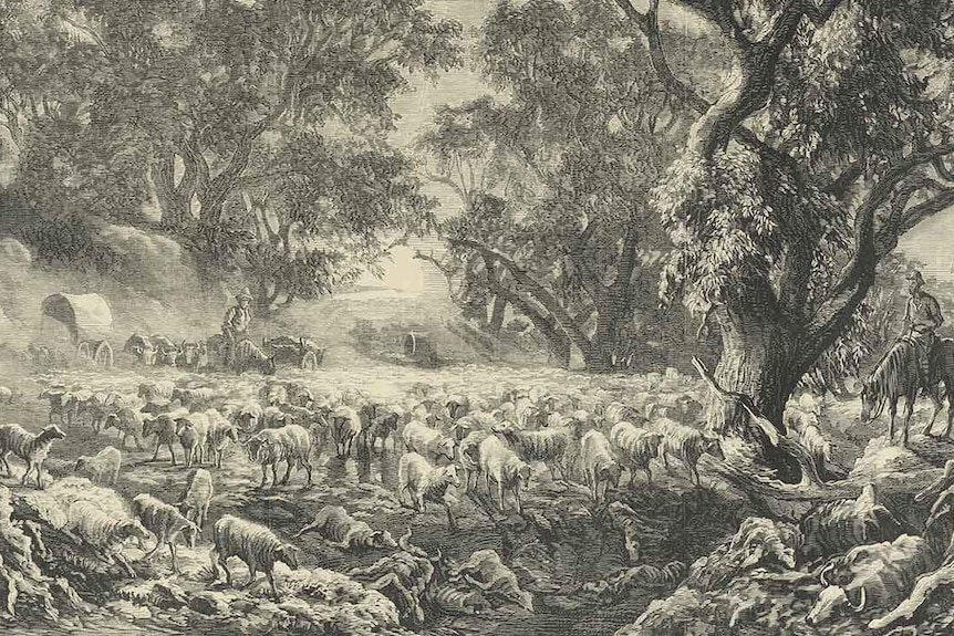 A painting of some sheep in a drought,