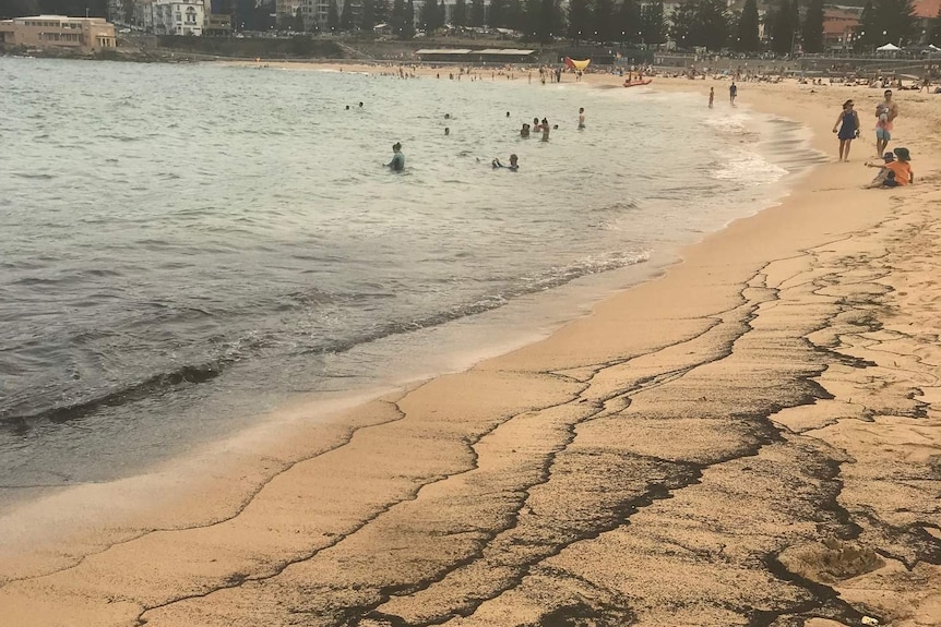 black streaks along a populated beach