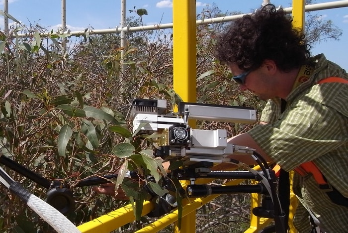 Researcher Steve Wohl measures carbon levels above the canopy.