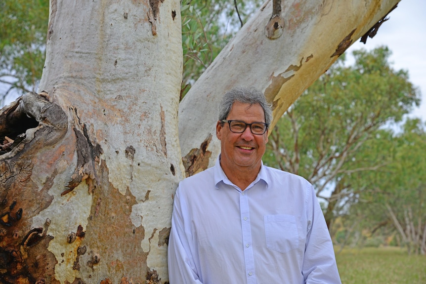 A man stands in a white shirt in front of a big colourful gum tree three times his size.