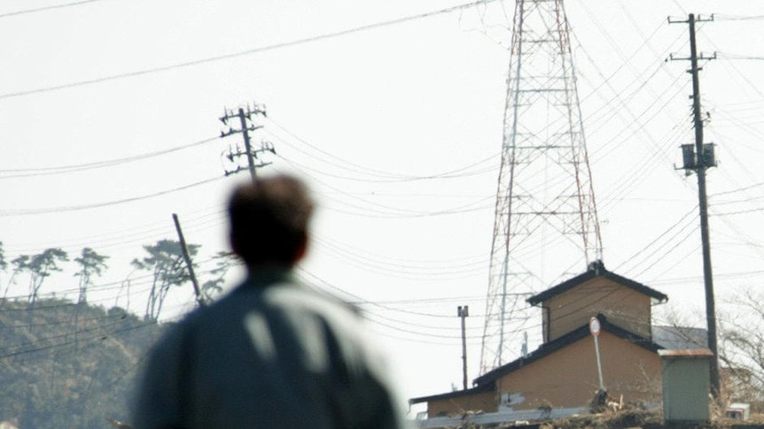 Looking back ... a man looks across tsunami devastation in Minamisoma city.