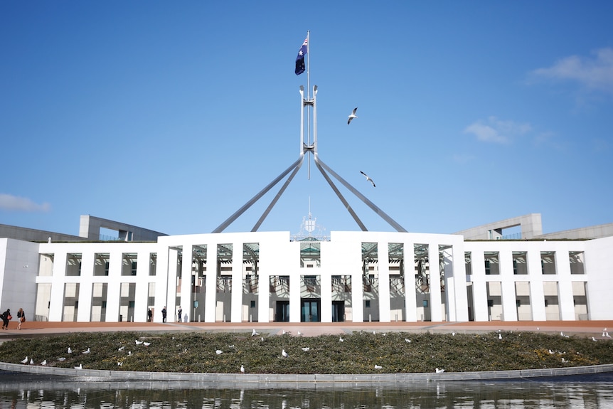 Birds fly out the front of Parliament House