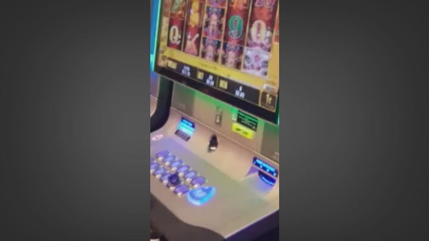 Video from Crown whistleblower shows how picks jam machines